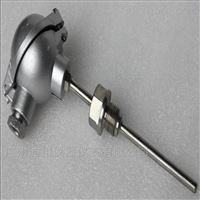 WZP液壓(ya)溫度變(biàn)送器