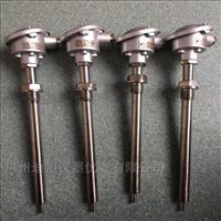 wzp赫斯(si)曼溫度傳感(gan)器